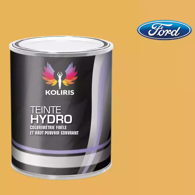 Peinture voiture hydro Ford