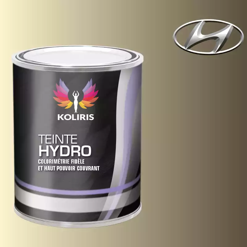 Peinture voiture hydro Hyundai