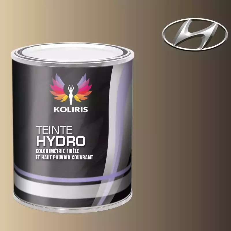 Peinture voiture hydro Hyundai