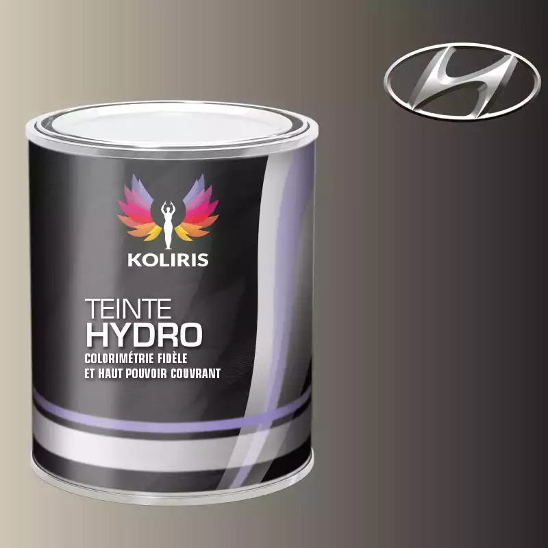 Peinture voiture hydro Hyundai