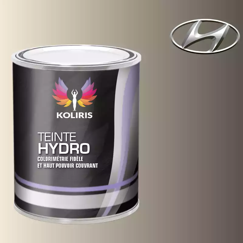 Peinture voiture hydro Hyundai