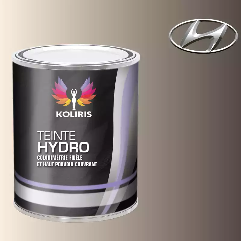 Peinture voiture hydro Hyundai