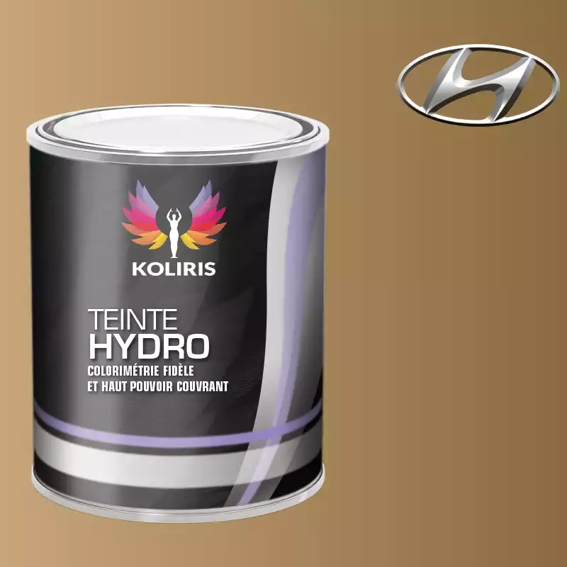 Peinture voiture hydro Hyundai