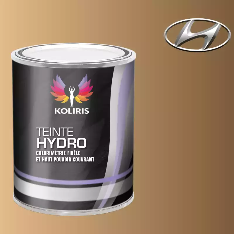 Peinture voiture hydro Hyundai