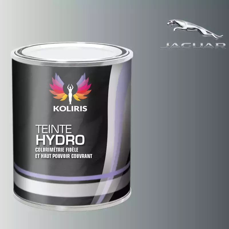 Peinture voiture hydro Jaguar