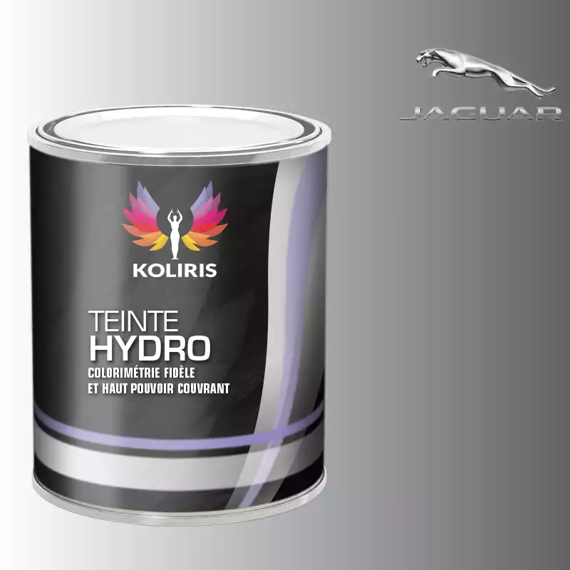 Peinture voiture hydro Jaguar