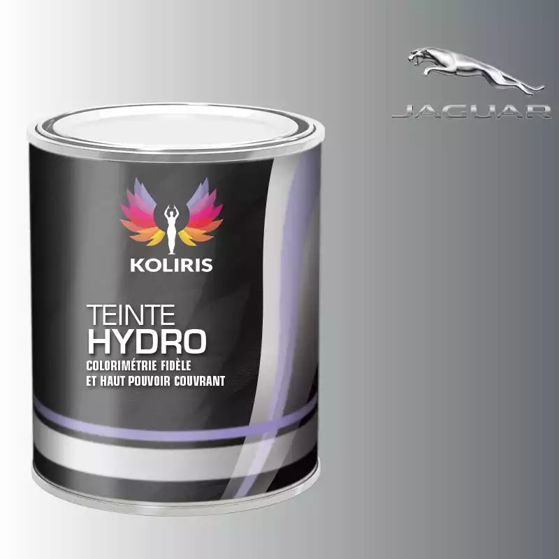 Peinture voiture hydro Jaguar