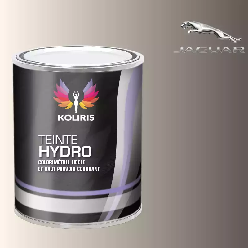 Peinture voiture hydro Jaguar