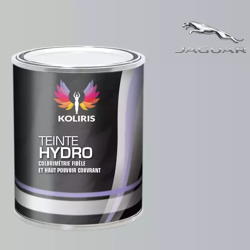 Peinture voiture hydro Jaguar