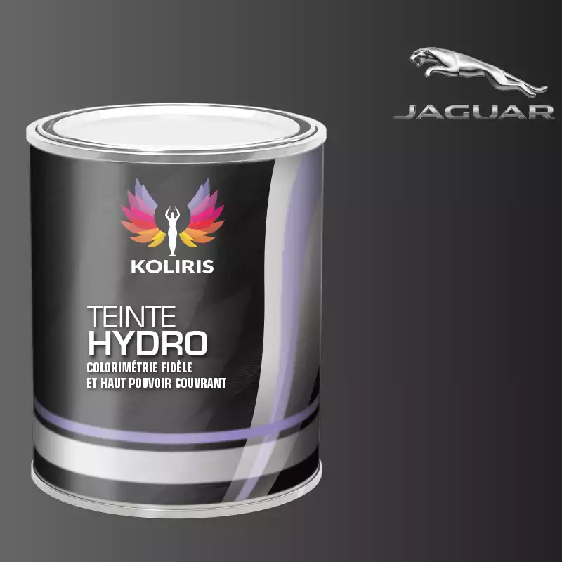 Peinture voiture hydro Jaguar