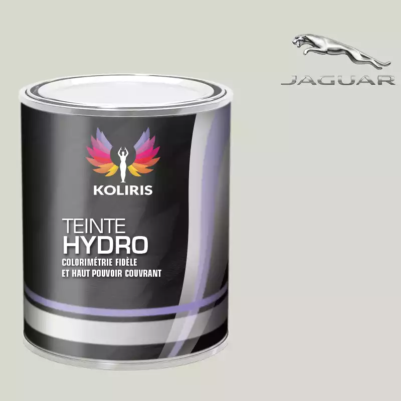 Peinture voiture hydro Jaguar