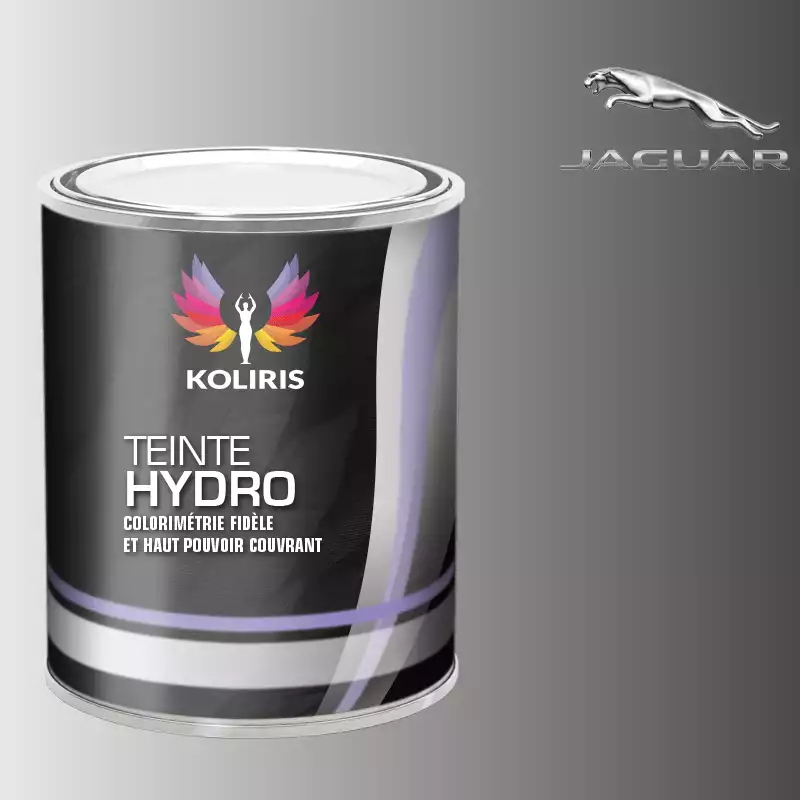 Peinture voiture hydro Jaguar