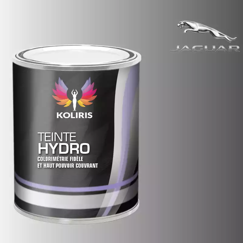 Peinture voiture hydro Jaguar