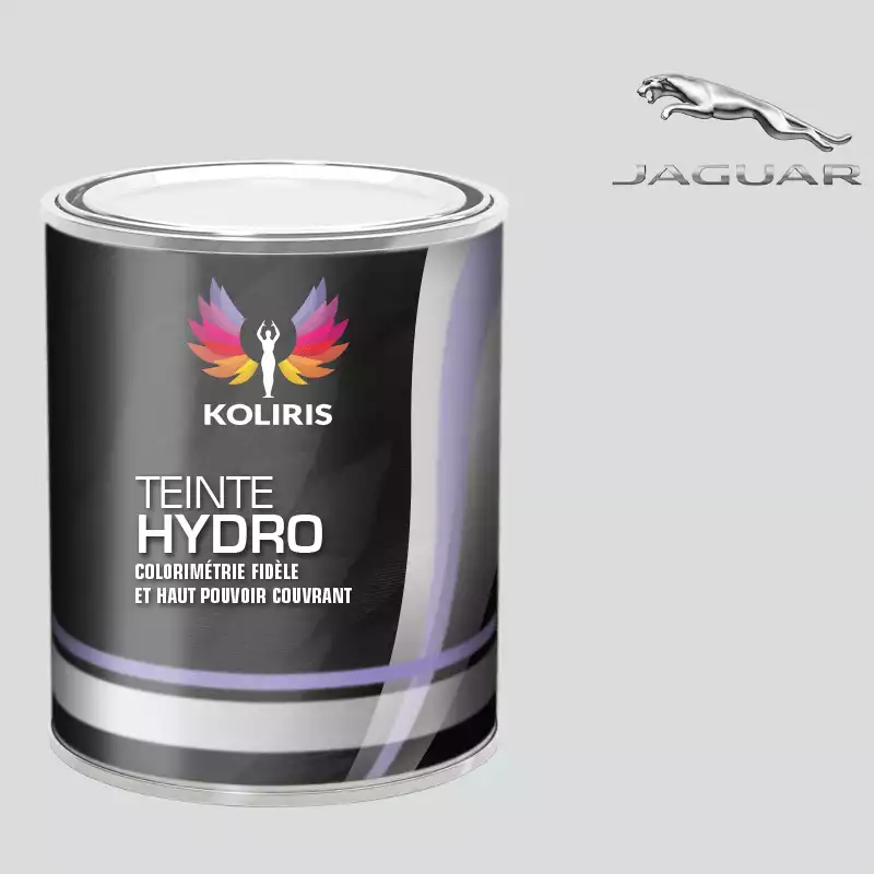 Peinture voiture hydro Jaguar