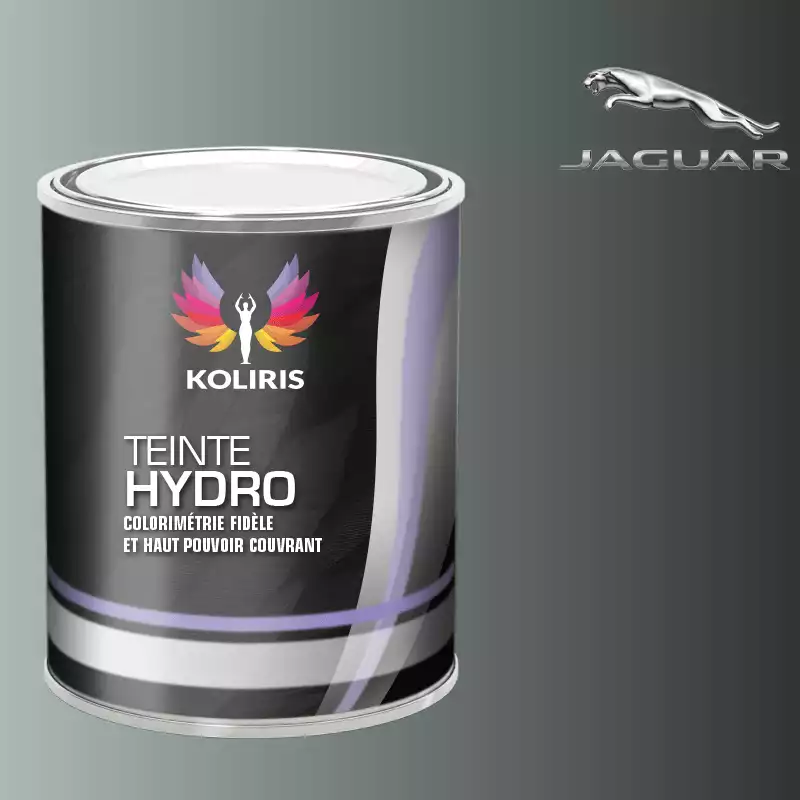 Peinture voiture hydro Jaguar