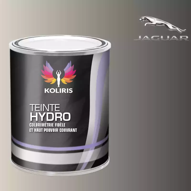 Peinture voiture hydro Jaguar