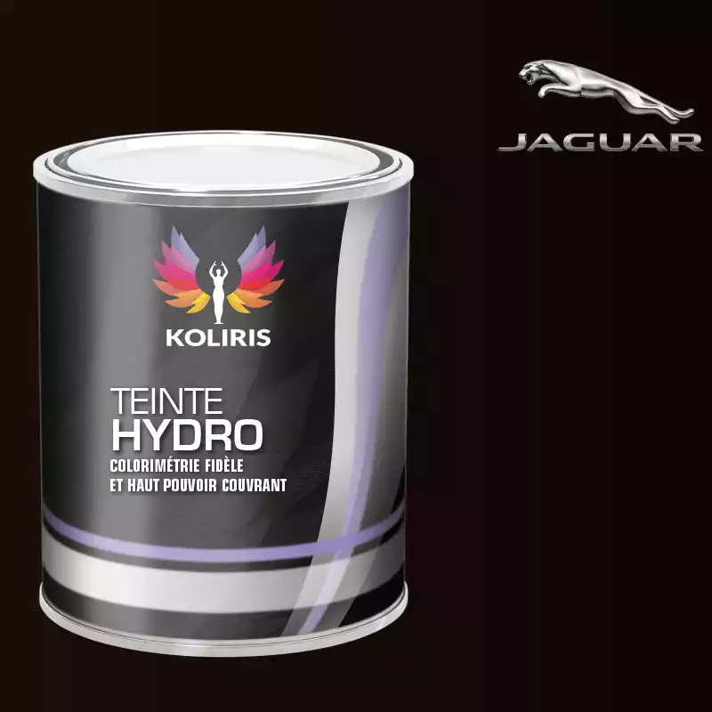 Peinture voiture hydro Jaguar