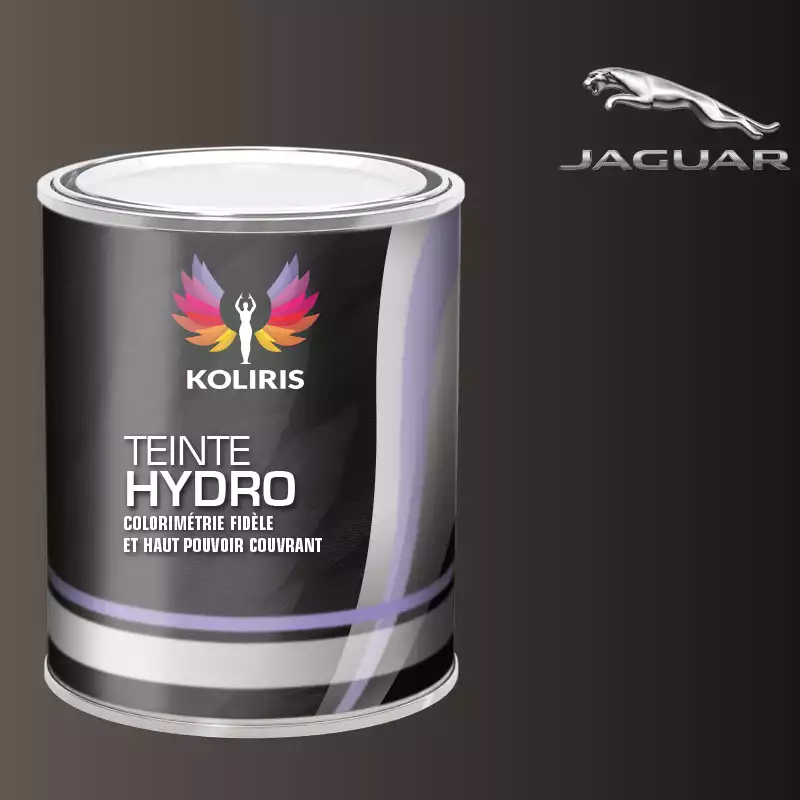 Peinture voiture hydro Jaguar