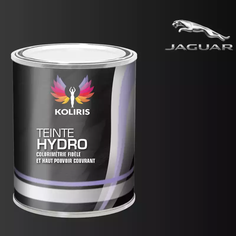 Peinture voiture hydro Jaguar