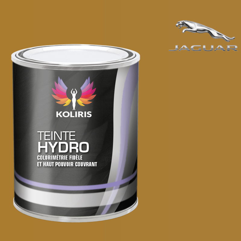 Peinture voiture hydro Jaguar