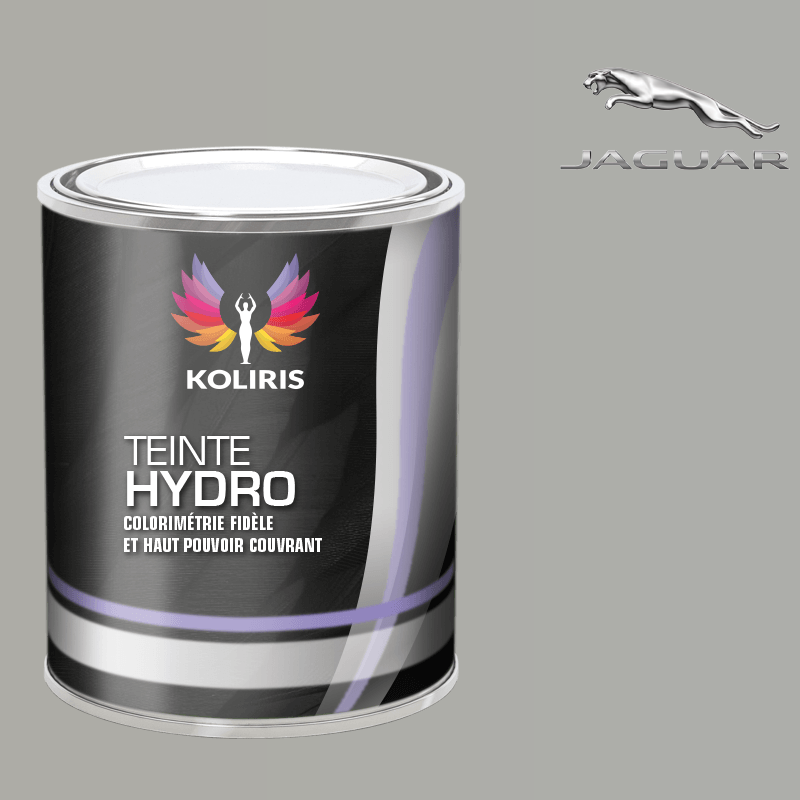 Peinture voiture hydro Jaguar