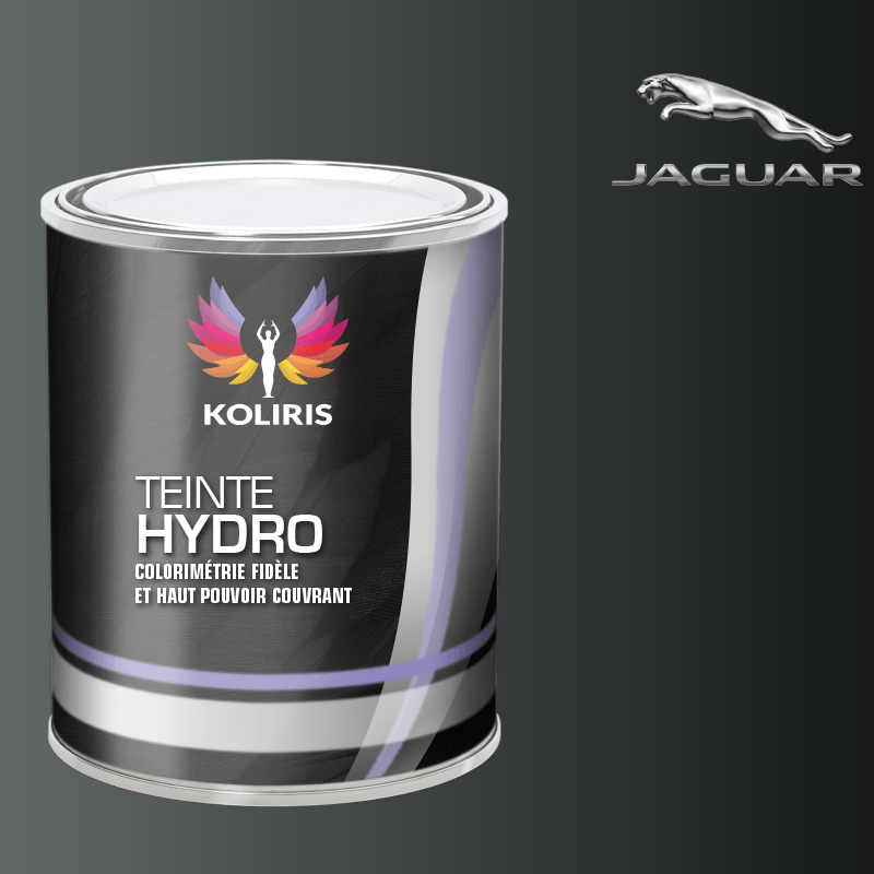 Peinture voiture hydro Jaguar