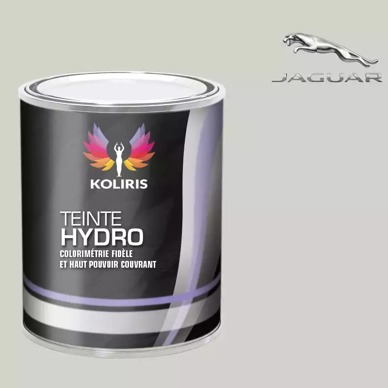 Peinture voiture hydro Jaguar