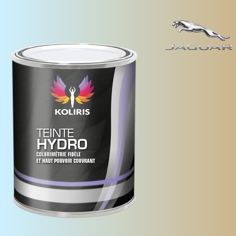 Peinture voiture hydro Jaguar