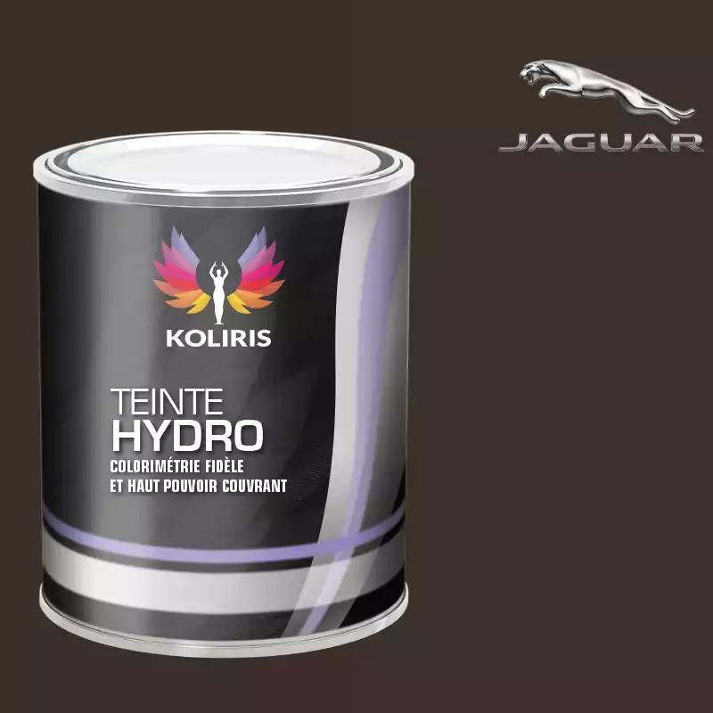 Peinture voiture hydro Jaguar