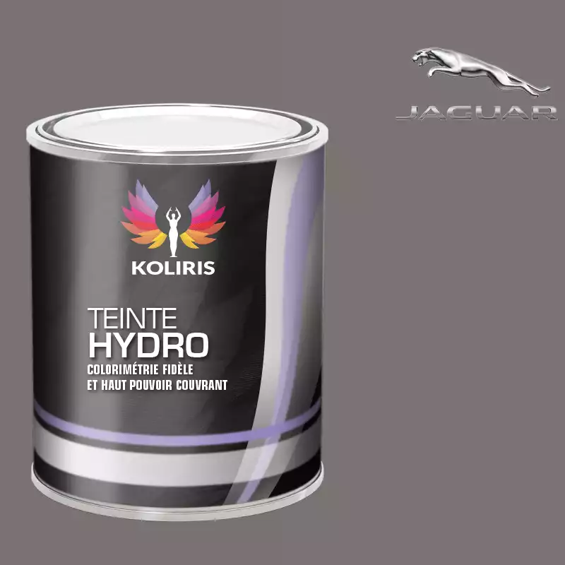 Peinture voiture hydro Jaguar