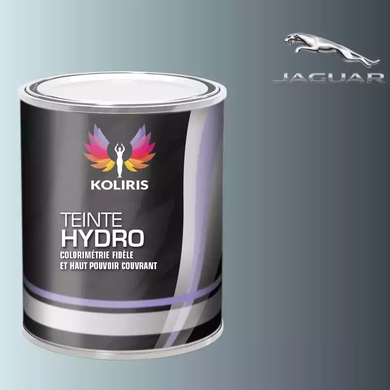 Peinture voiture hydro Jaguar