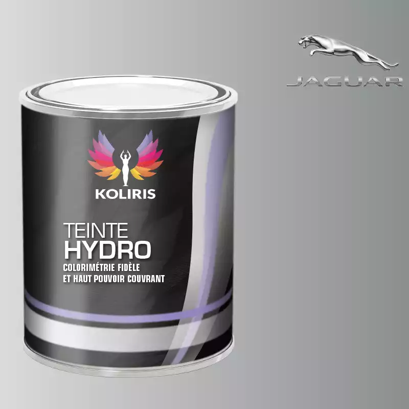 Peinture voiture hydro Jaguar