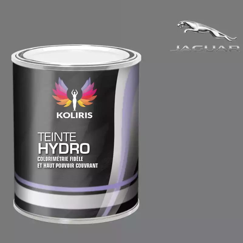 Peinture voiture hydro Jaguar