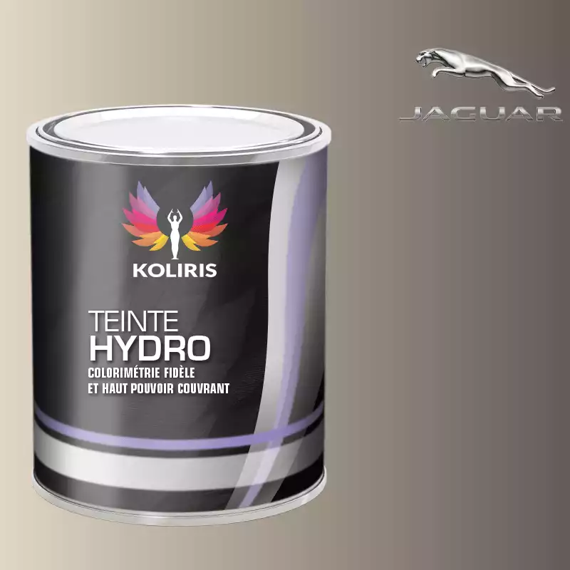 Peinture voiture hydro Jaguar