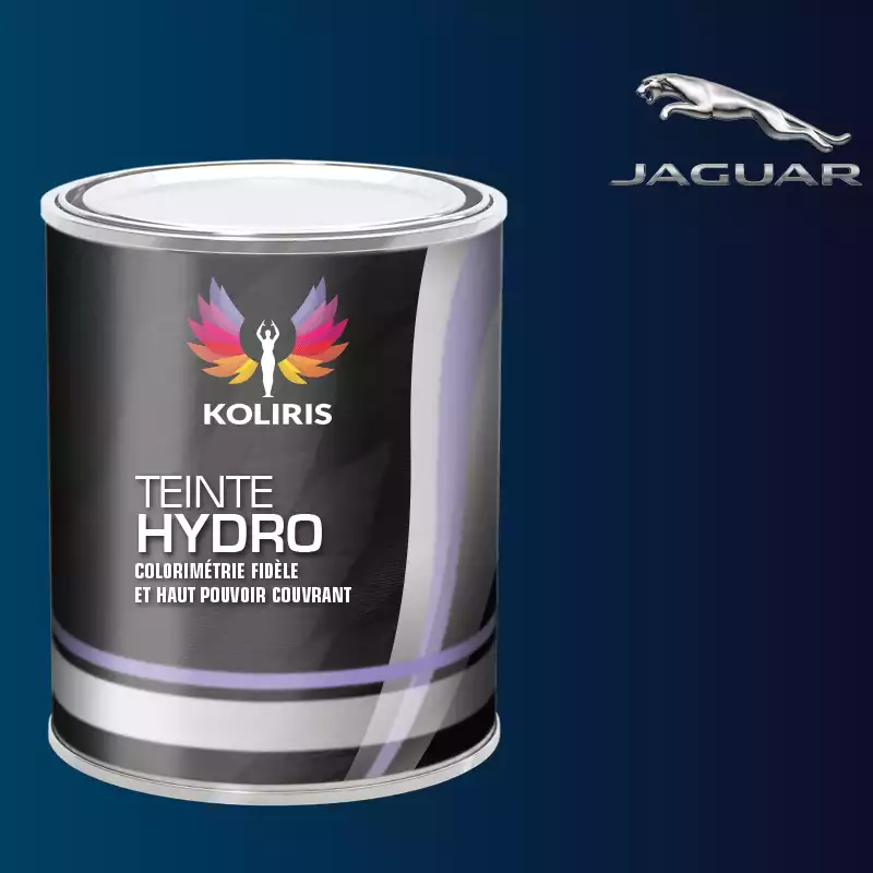 Peinture voiture hydro Jaguar