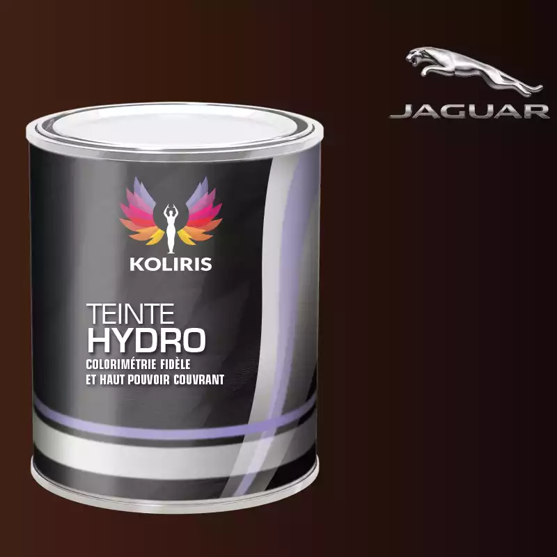 Peinture voiture hydro Jaguar