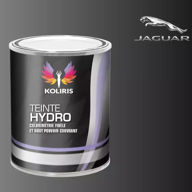 Peinture voiture hydro Jaguar