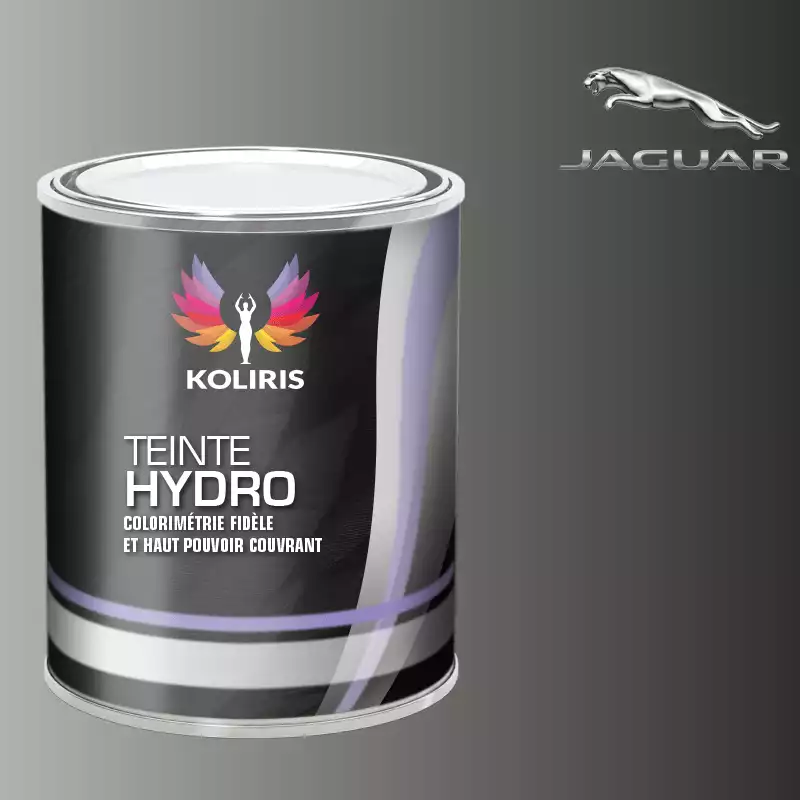 Peinture voiture hydro Jaguar