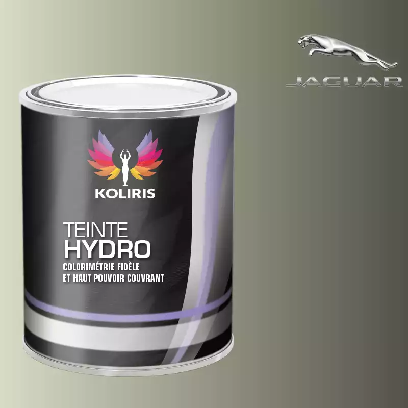 Peinture voiture hydro Jaguar