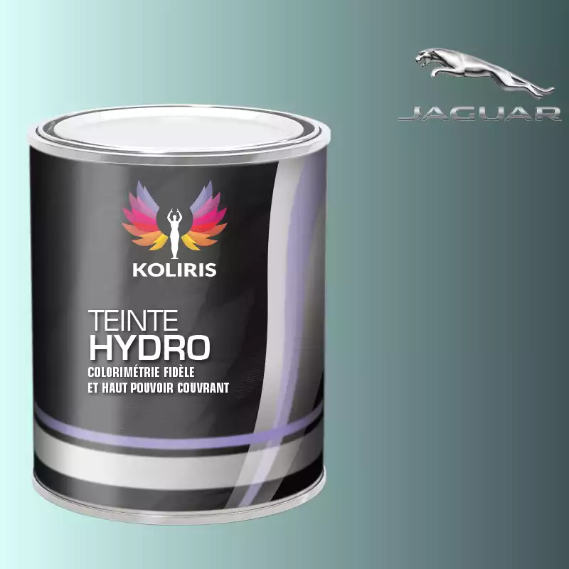 Peinture voiture hydro Jaguar