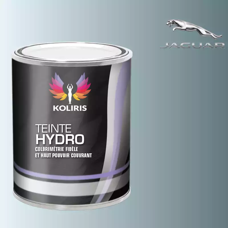 Peinture voiture hydro Jaguar