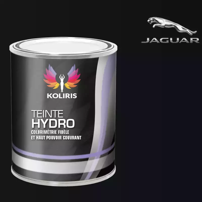 Peinture voiture hydro Jaguar