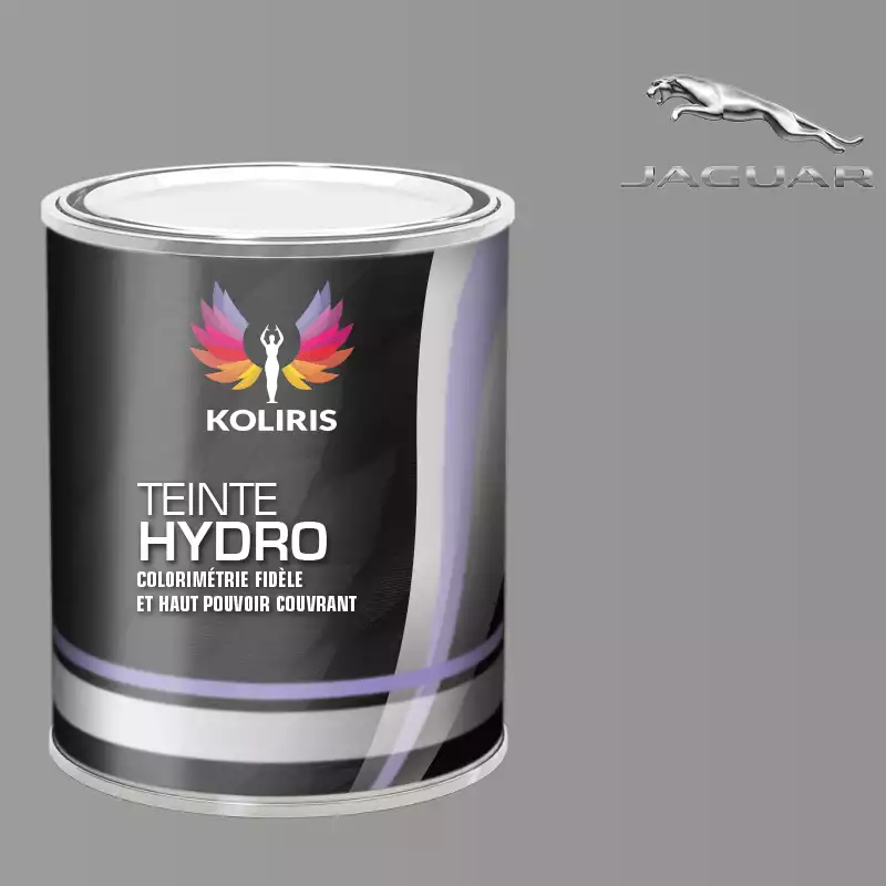 Peinture voiture hydro Jaguar