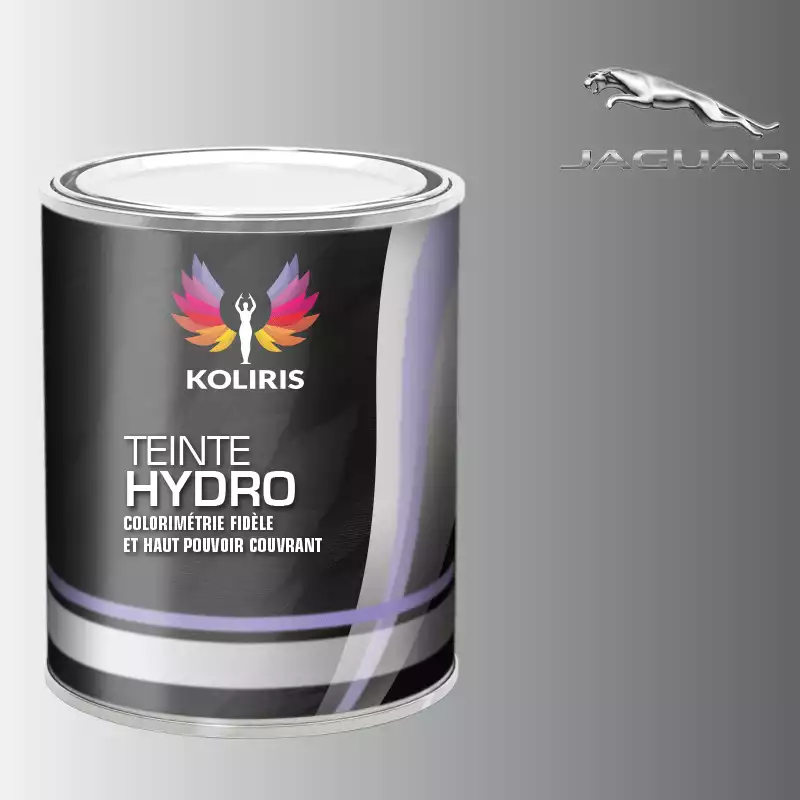 Peinture voiture hydro Jaguar