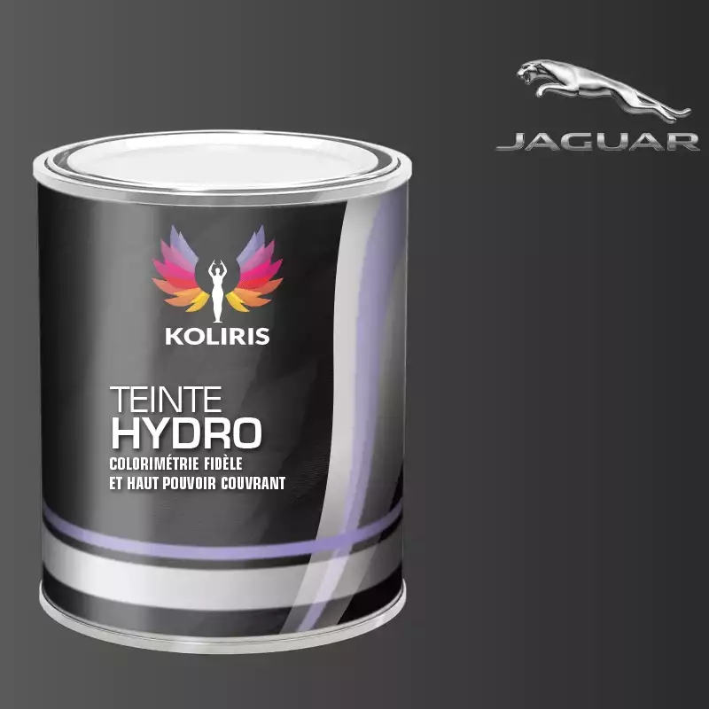 Peinture voiture hydro Jaguar