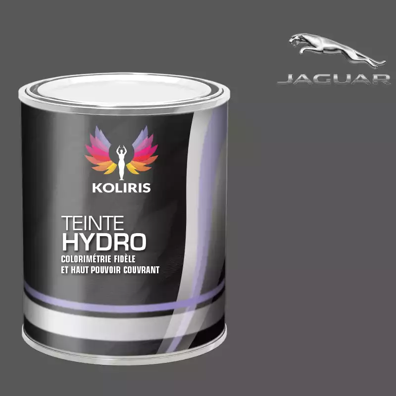 Peinture voiture hydro Jaguar