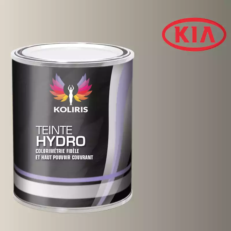 Peinture voiture hydro Kia