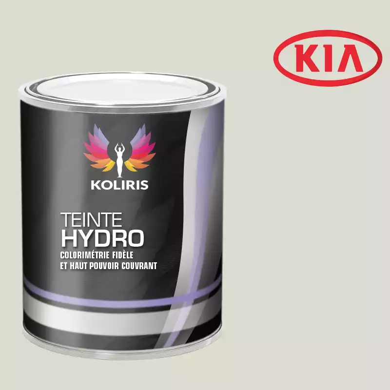 Peinture voiture hydro Kia