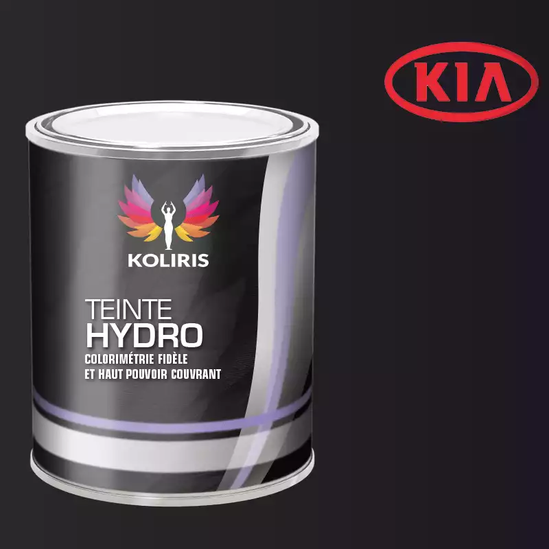 Peinture voiture hydro Kia