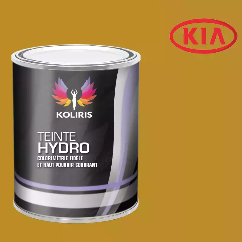 Peinture voiture hydro Kia